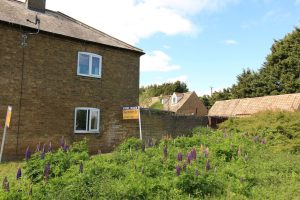 Dennis Green, Gamlingay, Sandy